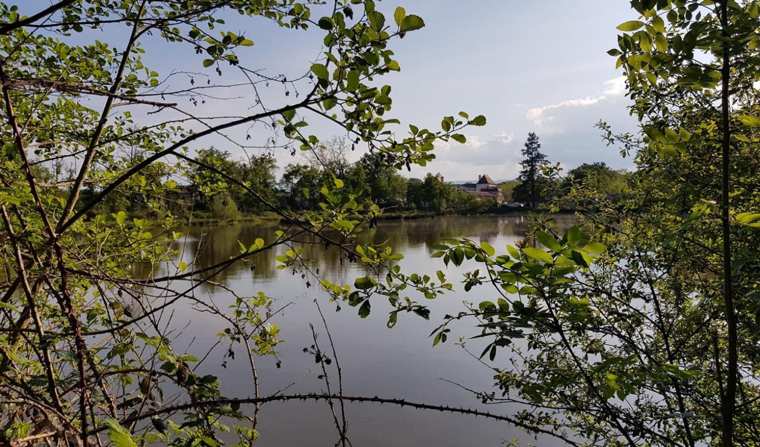Chateau Des Perichons Poncins Екстер'єр фото